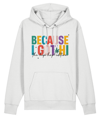 Because I Got Hi - Organic Heavyweight Hoodie