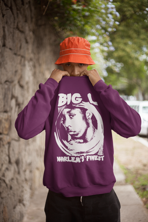 Brand outlet new sweatshirt